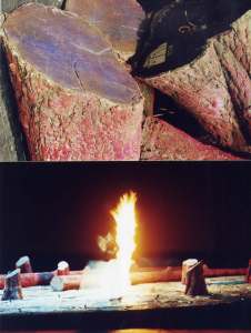 Trovatore, Lab. Teatro Regio di Parma